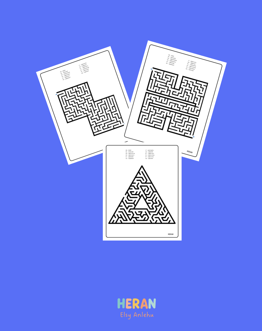 Mazes Activity Book
