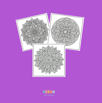 Mandala Coloring Book